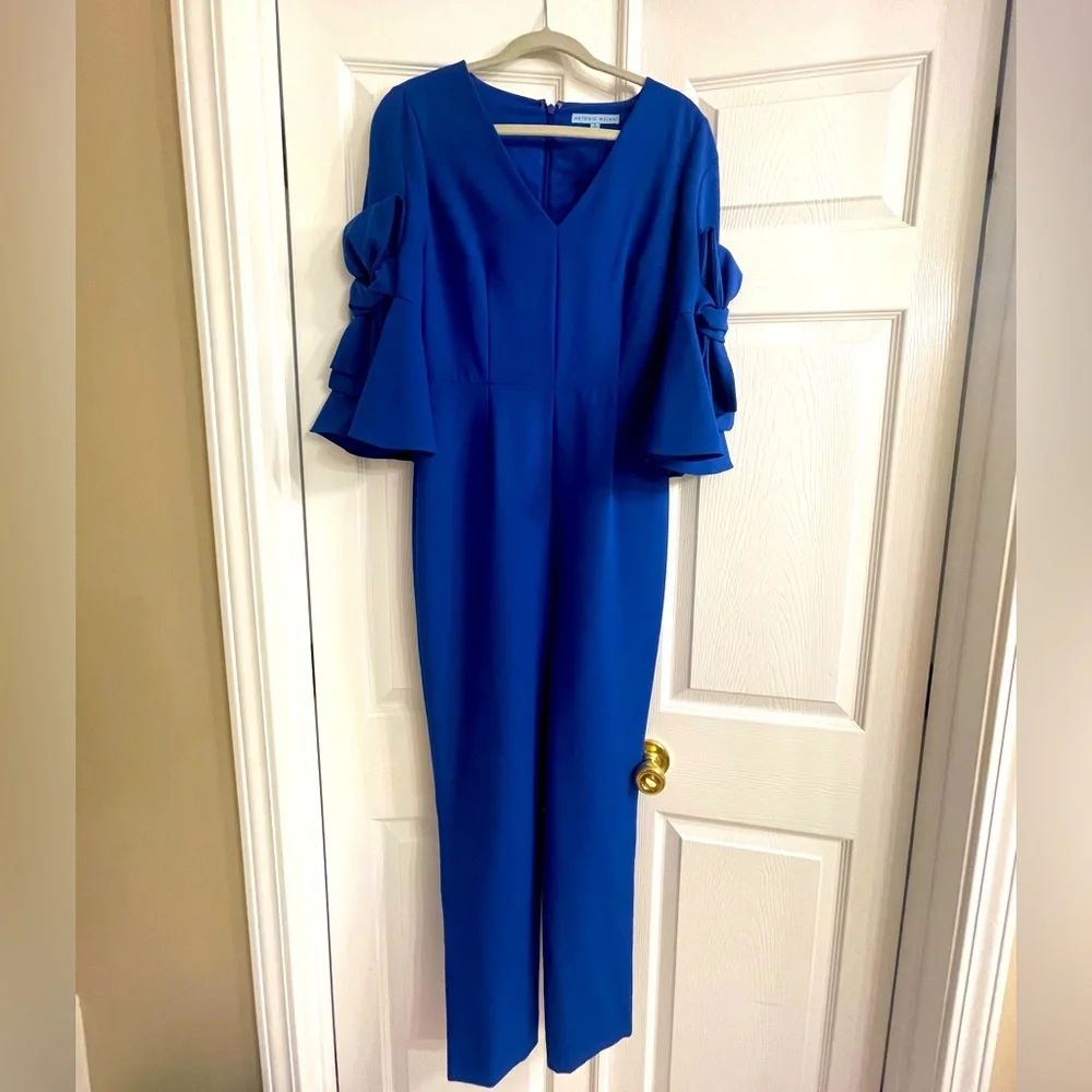 Royal Blue jumpsuit - Picture 1 of 4